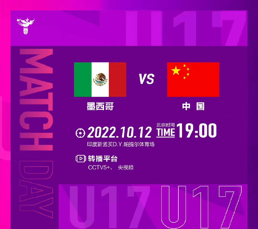 欧洲杯经典时刻：夺冠辉煌、激情回顾，CCTV重播为你带来足球魅力