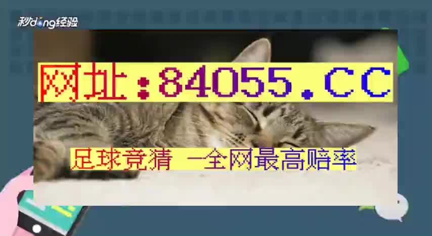 足球直播免费在线114：选择适合你的平台，畅享无尽足球乐趣与体验