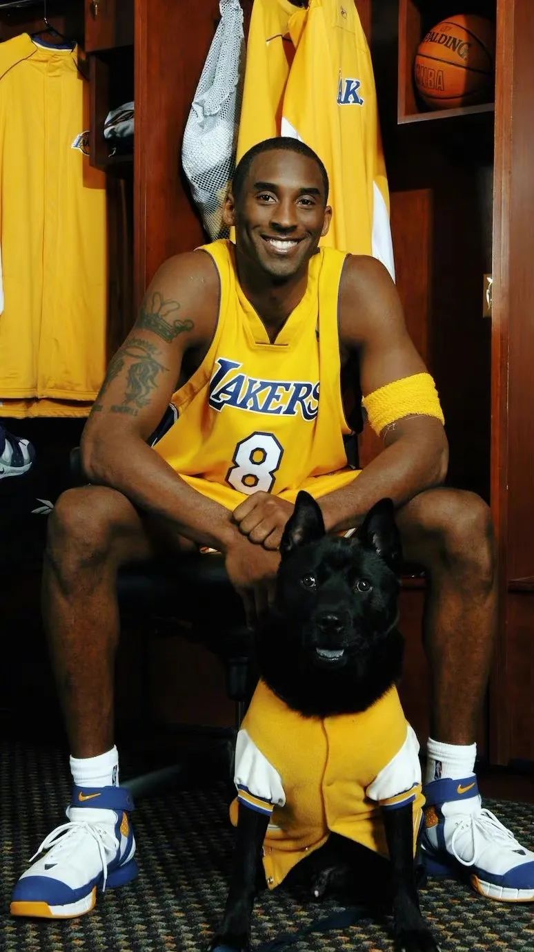 追逐梦想，感受篮球狂热：网络NBA直播带来的激情体验与跨时空感受