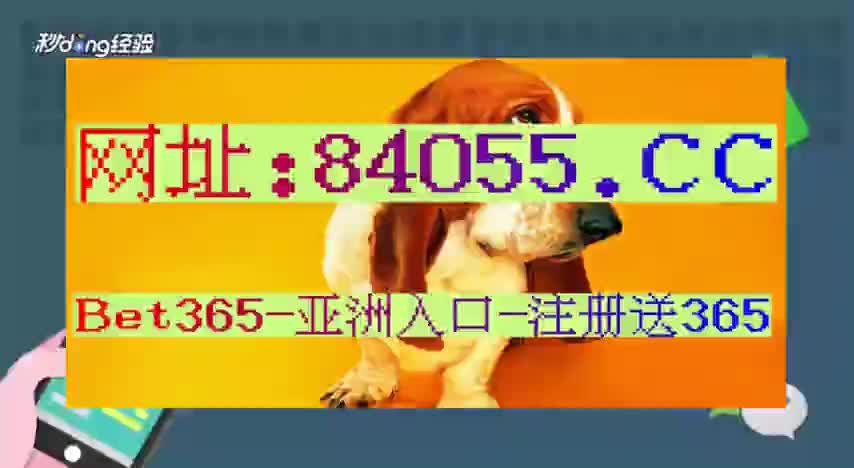 足球直播在线观看：免费高清直播，便捷舒适的观赛体验